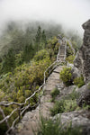 Bridge To The Clouds - Wall Art - By Dick Carlier- Gallery Art Company