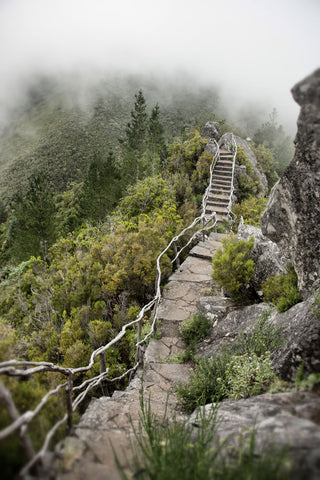 Bridge To The Clouds - Wall Art - By Dick Carlier- Gallery Art Company