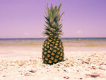 South Florida Pineapple I - Wall Art - By Adam Mead- Gallery Art Company