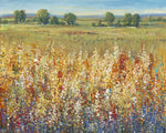 Gold and Red Field I - Wall Art - By Tim OToole- Gallery Art Company