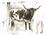 Longhorn Study I - Wall Art - By Ethan Harper- Gallery Art Company