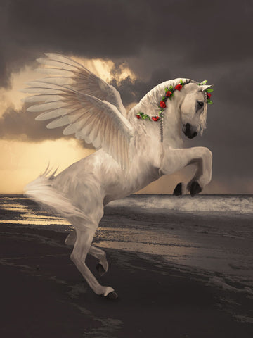 Pegasus With Roses - Wall Art - By Babette- Gallery Art Company
