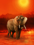 The Elephant Ricardo 6 - Wall Art - By Babette- Gallery Art Company