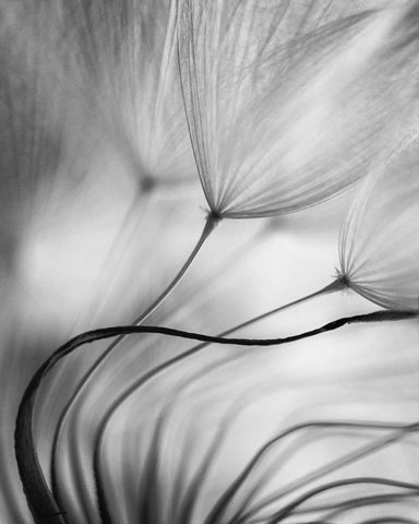 Lean on me - Wall Art - By keren or- Gallery Art Company