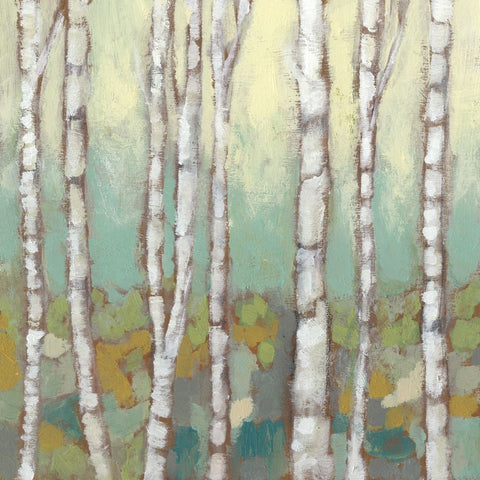 Kaleidoscope Birches I - Wall Art - By Jennifer Goldberger- Gallery Art Company