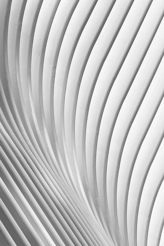Calatrava Lines - Wall Art - By Christopher Budny- Gallery Art Company