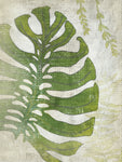 Frond III - Wall Art - By Chariklia Zarris- Gallery Art Company