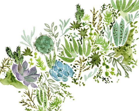 Succulent Field I - Wall Art - By Melissa Wang- Gallery Art Company