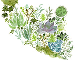 Succulent Field II - Wall Art - By Melissa Wang- Gallery Art Company