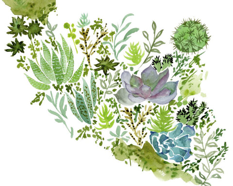 Succulent Field II - Wall Art - By Melissa Wang- Gallery Art Company