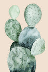 Cactus on Coral II - Wall Art - By Grace Popp- Gallery Art Company