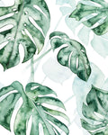 Split Leaf II - Wall Art - By Grace Popp- Gallery Art Company