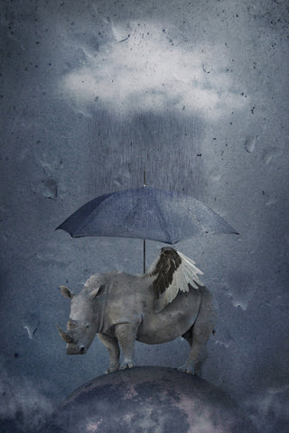 under the rain - Wall Art - By Muriel Vekemans- Gallery Art Company