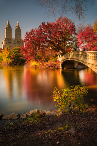 Fall in Central Park - Wall Art - By Christopher R. Veizaga- Gallery Art Company