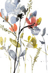 Flower Overlay II - Wall Art - By Jennifer Goldberger- Gallery Art Company