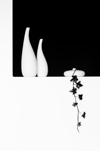 Ivy - Wall Art - By Kristina Oveckova- Gallery Art Company