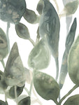 Water Leaves IV - Wall Art - By June Erica Vess- Gallery Art Company