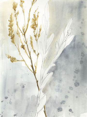 Wild Grass II - Wall Art - By Jennifer Goldberger- Gallery Art Company