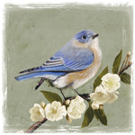 Bluebird Branch I - Wall Art - By Victoria Borges- Gallery Art Company