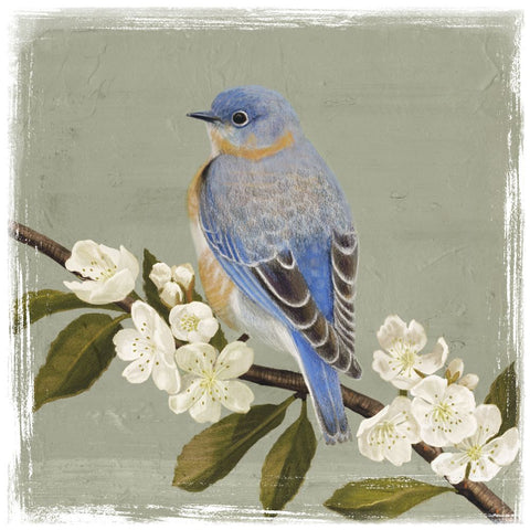 Bluebird Branch II - Wall Art - By Victoria Borges- Gallery Art Company