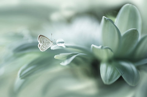 bola ajaib - Wall Art - By Arief Setiawan- Gallery Art Company