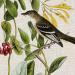 Avian Crop II - Wall Art - By John James Audubon- Gallery Art Company