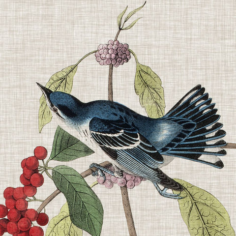 Avian Crop III - Wall Art - By John James Audubon- Gallery Art Company