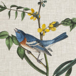 Avian Crop VIII - Wall Art - By John James Audubon- Gallery Art Company