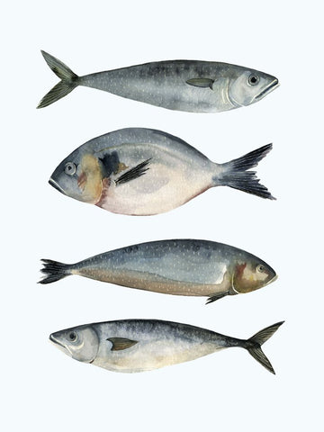 Four Fish II - Wall Art - By Emma Scarvey- Gallery Art Company