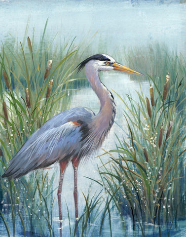 Marsh Heron I - Wall Art - By Tim OToole- Gallery Art Company