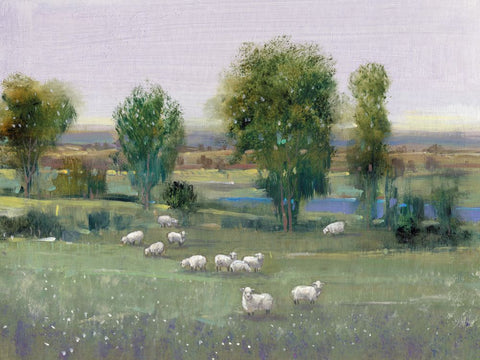 Field of Sheep I - Wall Art - By Tim OToole- Gallery Art Company