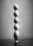 Well balanced diet (version 2) - Wall Art - By Victoria Ivanova- Gallery Art Company