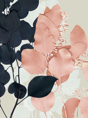 Indigo & Blush Leaves II - Wall Art - By Jennifer Goldberger- Gallery Art Company