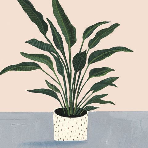 Houseplant IV - Wall Art - By Victoria Borges- Gallery Art Company