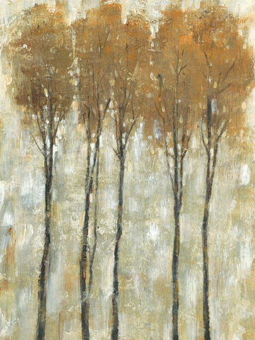 Standing Tall in Autumn II - Wall Art - By Tim OToole- Gallery Art Company