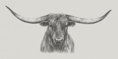 Longhorn Bull - Wall Art - By Ethan Harper- Gallery Art Company