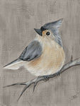 Winter Bird I - Wall Art - By Jade Reynolds- Gallery Art Company