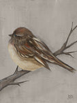 Winter Bird III - Wall Art - By Jade Reynolds- Gallery Art Company