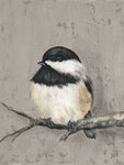 Winter Bird IV - Wall Art - By Jade Reynolds- Gallery Art Company