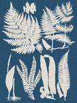 Linen & Blue Ferns I - Wall Art - By Vision Studio- Gallery Art Company