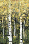 Birch Treeline II - Wall Art - By Jade Reynolds- Gallery Art Company