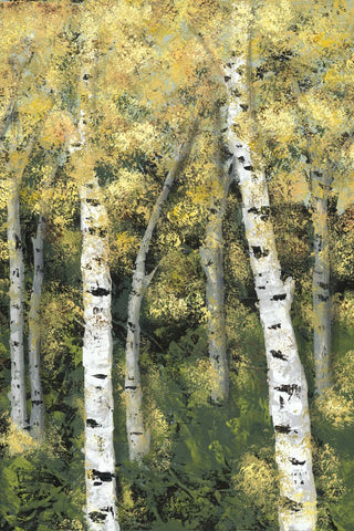 Birch Treeline III - Wall Art - By Jade Reynolds- Gallery Art Company