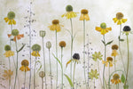 Helenium - Wall Art - By Mandy Disher- Gallery Art Company