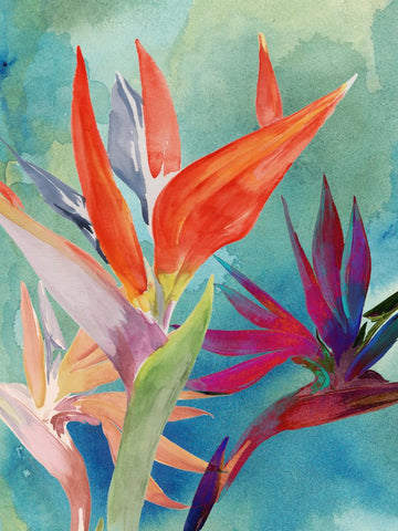 Vivid Birds of Paradise I - Wall Art - By Jennifer Paxton Parker- Gallery Art Company