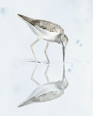 Sandpiper Reflections I - Wall Art - By Jennifer Paxton Parker- Gallery Art Company