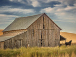 Farm & Field VI - Wall Art - By PHBurchett- Gallery Art Company