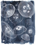 Moon Jellies II - Wall Art - By Grace Popp- Gallery Art Company