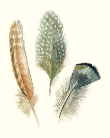 Watercolor Feathers I - Wall Art - By Megan Meagher- Gallery Art Company