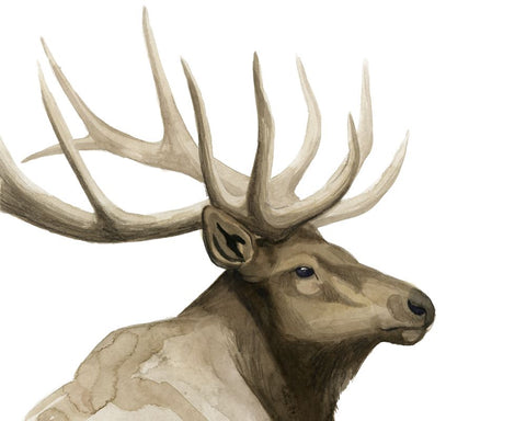 Call of the Elk I - Wall Art - By Grace Popp- Gallery Art Company