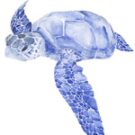 Ultramarine Sea Turtle I - Wall Art - By Jennifer Paxton Parker- Gallery Art Company